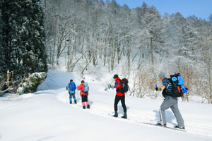 Cross-Country Ski Hiking Course 